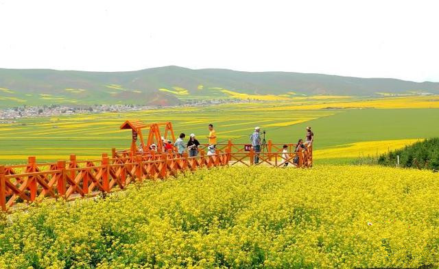 青島推動文旅項目多領(lǐng)域、多業(yè)態(tài)、多層次發(fā)展