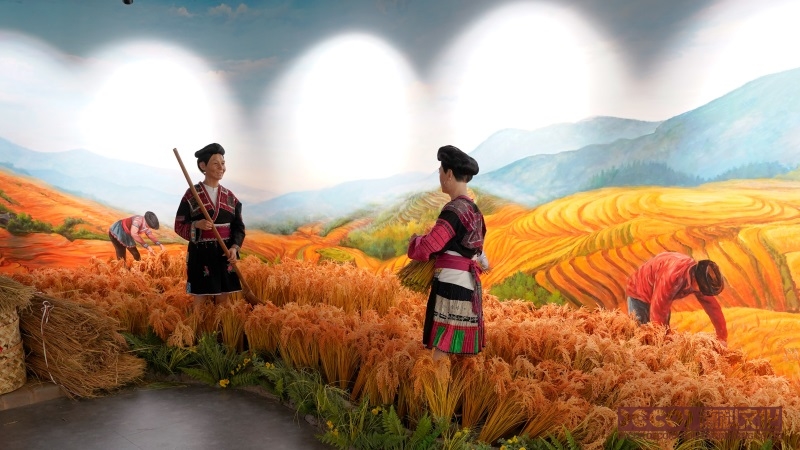 在博物館展覽陳列設(shè)計(jì)中，如何選擇合適的展品？